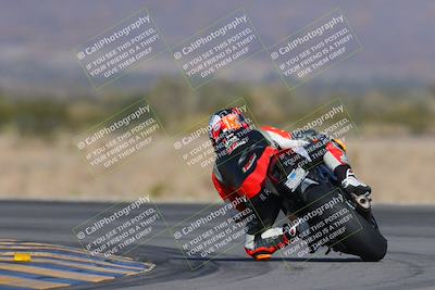 media/Dec-09-2023-SoCal Trackdays (Sat) [[76a8ac2686]]/Turn 14 Backside (1050am)/